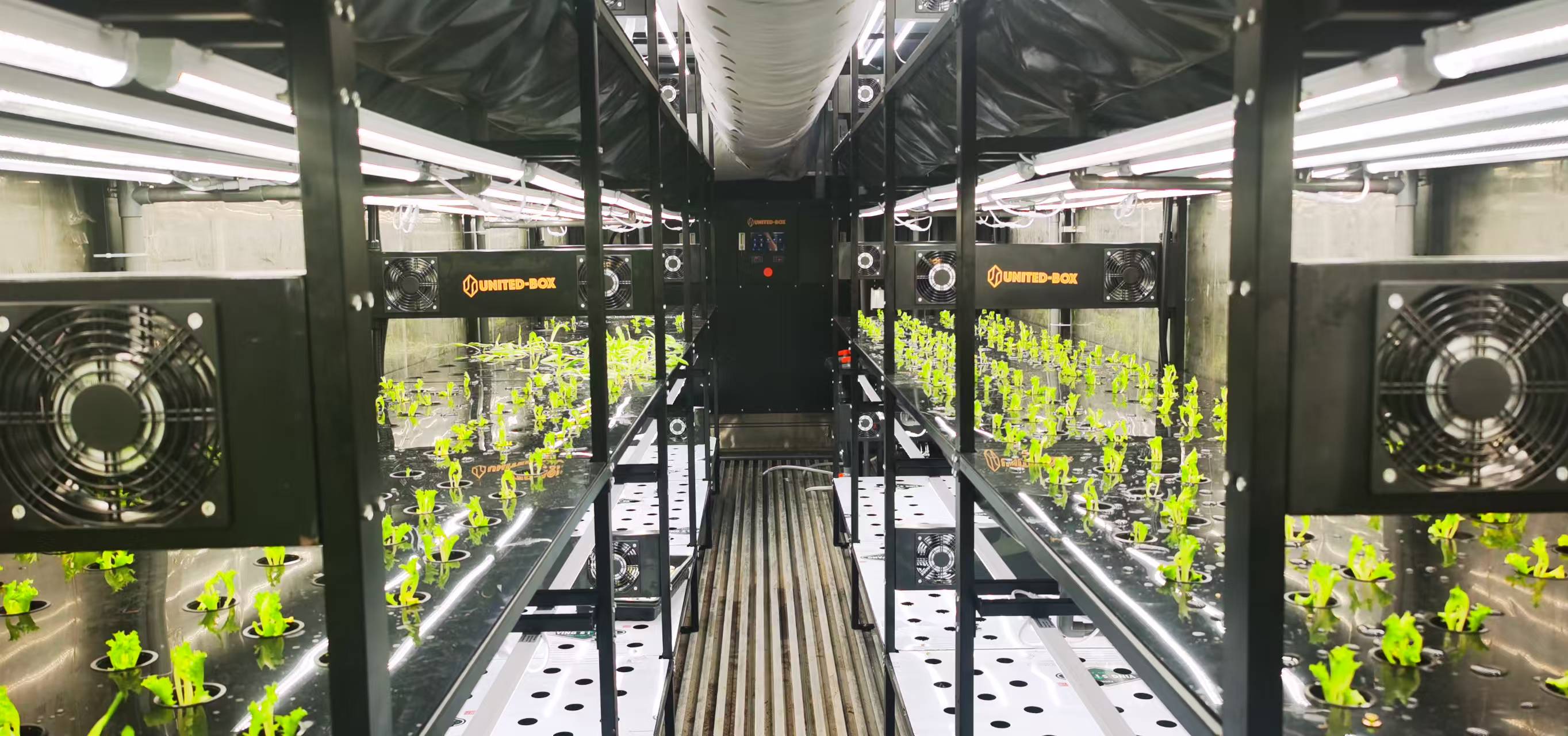 集装箱植物工厂内部走道