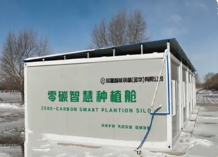 组培多层架幼苗近景