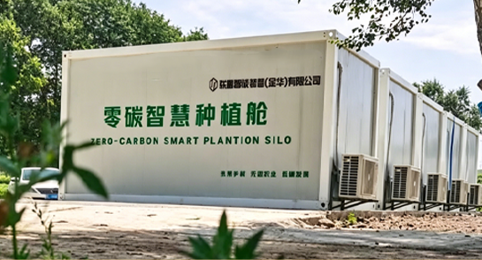 当前重点共富农业项目