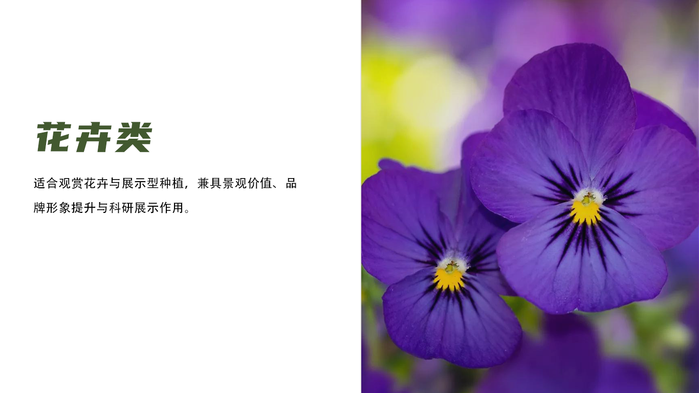 种植参数 10