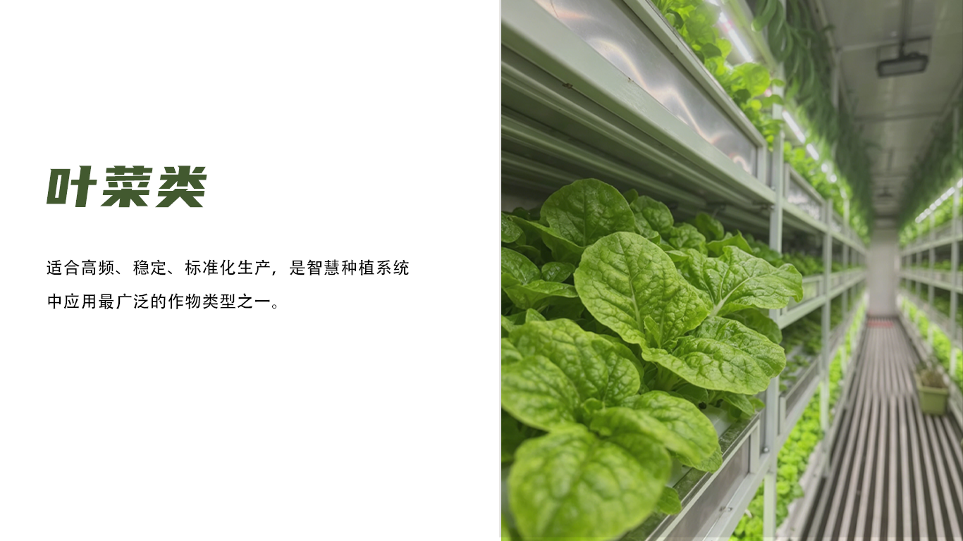 种植参数 4