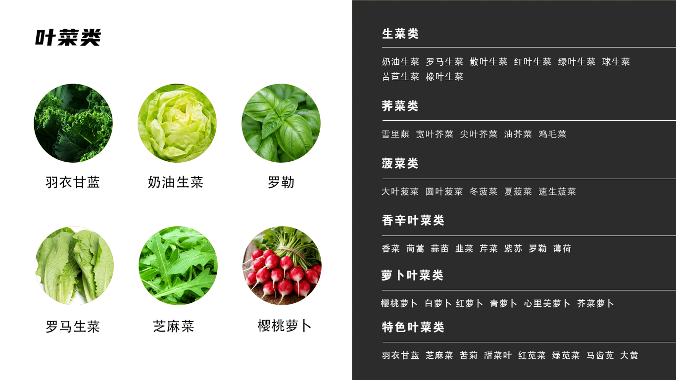 种植参数 5