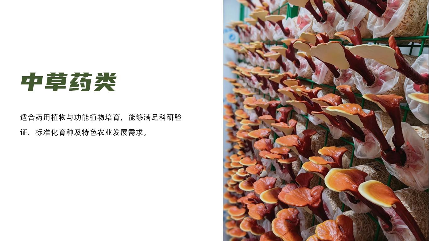 种植参数 6